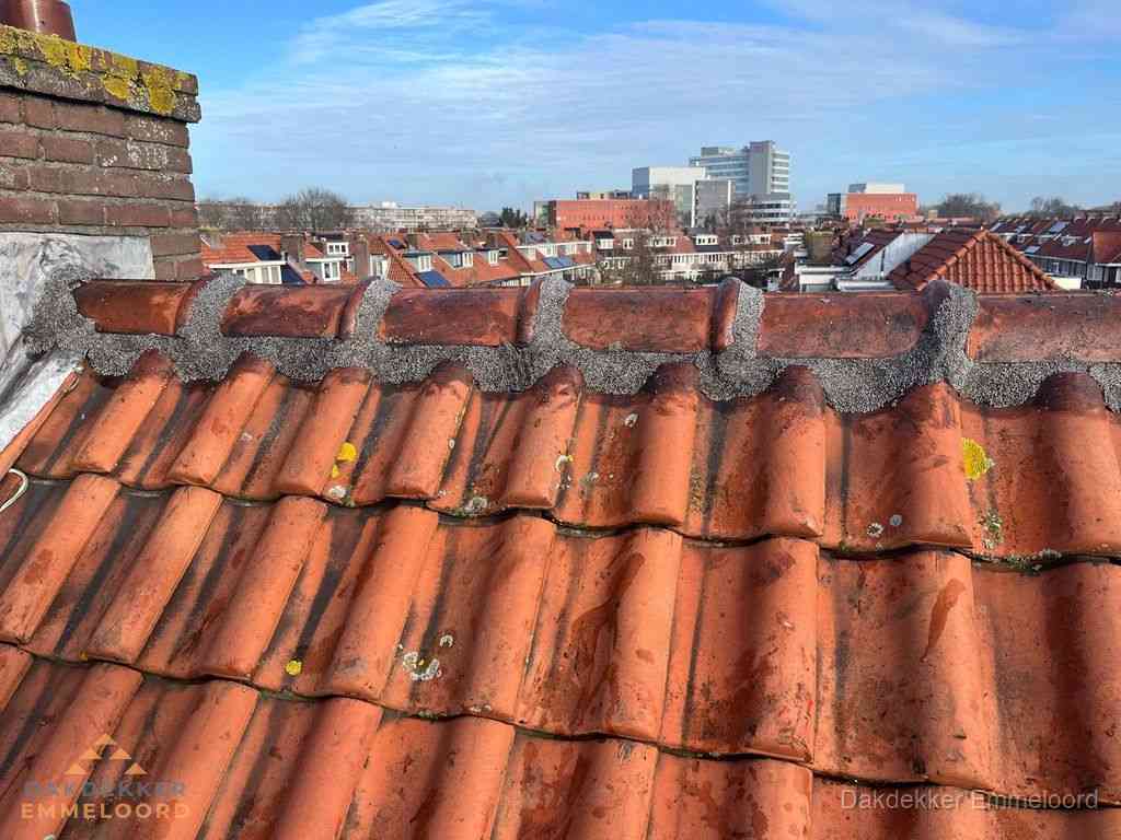 Nieuw bitumen plat dak met uitzicht over woonwijk in Emmeloord