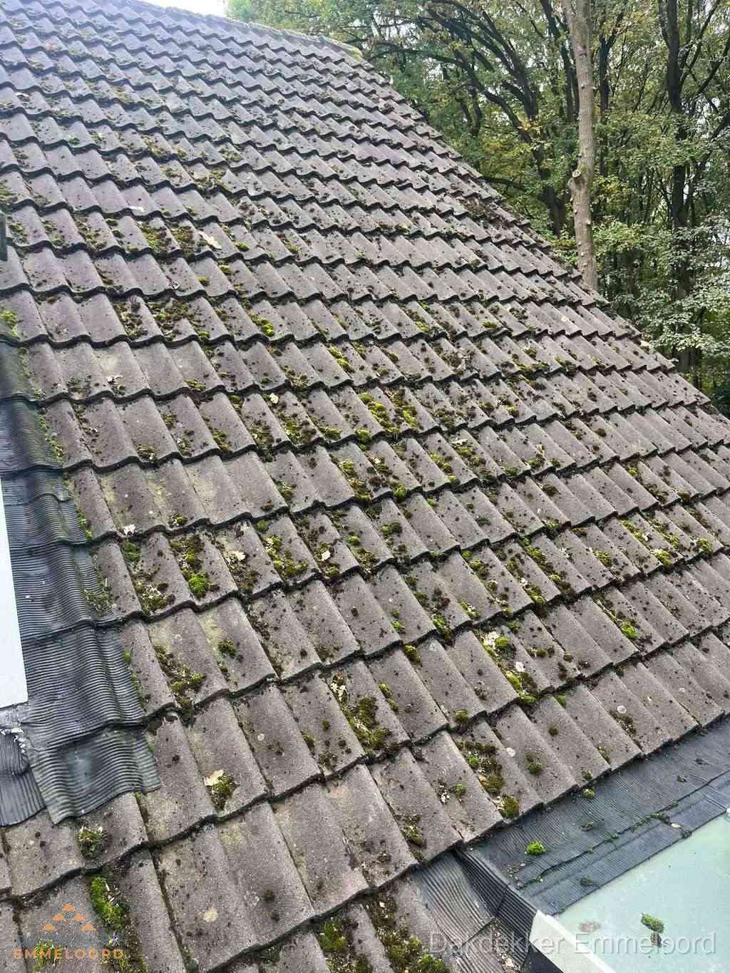 Verweerd pannendak met mosgroei dat renovatie nodig heeft in Emmeloord
