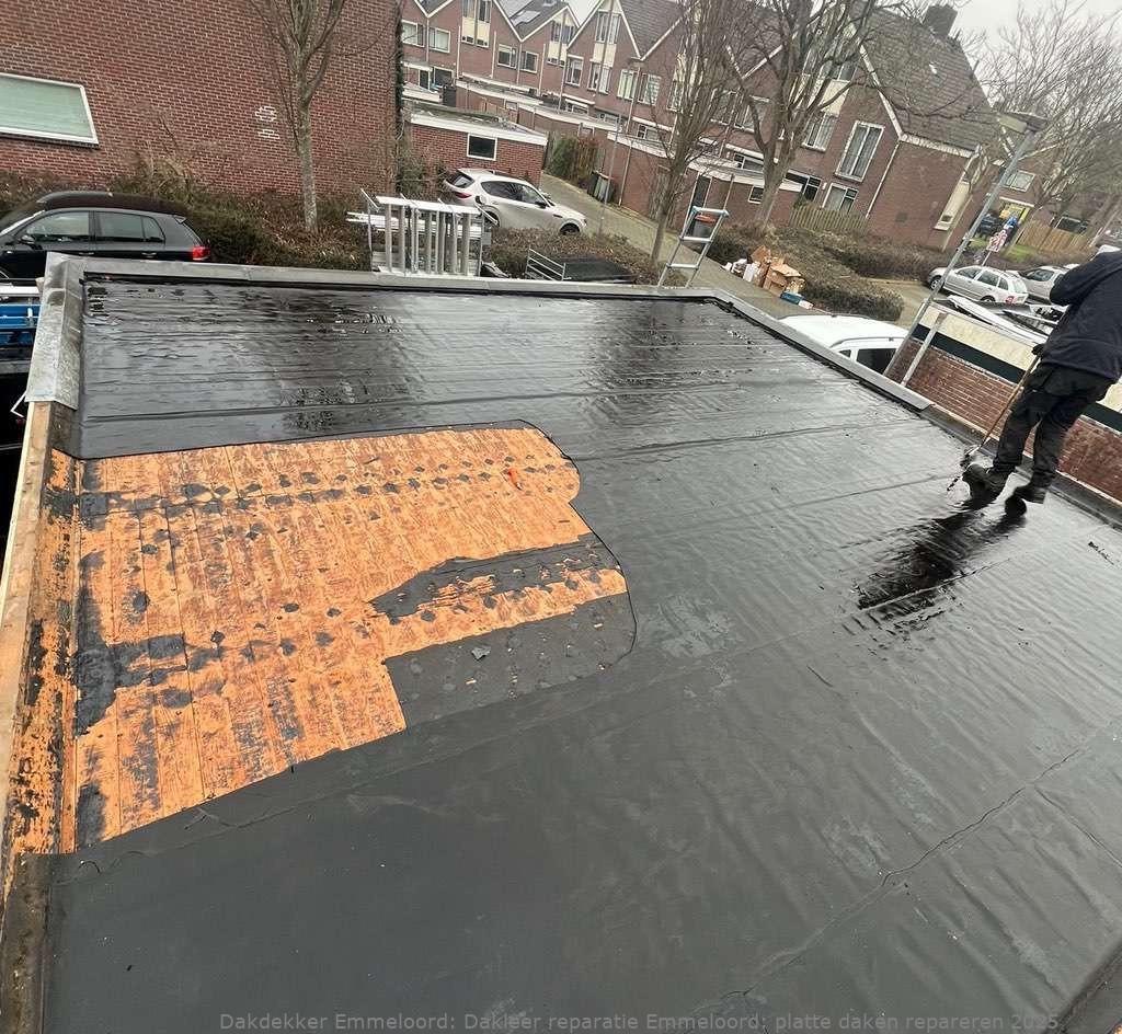 Dakleer Reparatie Emmeloord