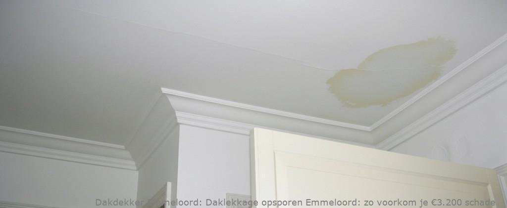 Daklekkage Opsporen Emmeloord 1