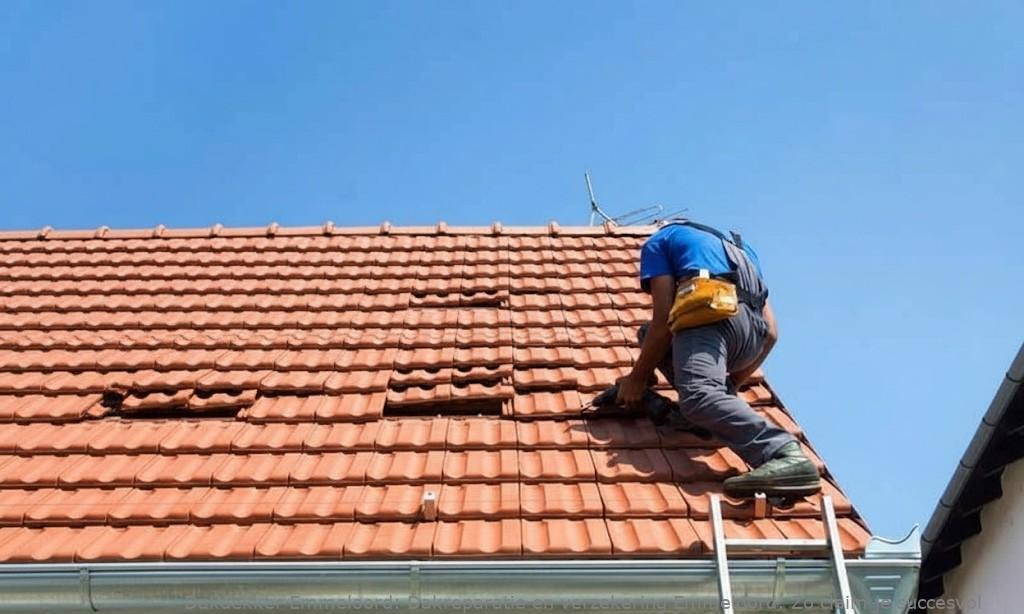 Dakreparatie En Verzekering Emmeloord