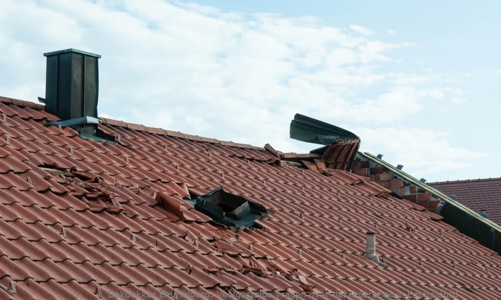 Dakreparaties Emmeloord